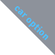 car option
